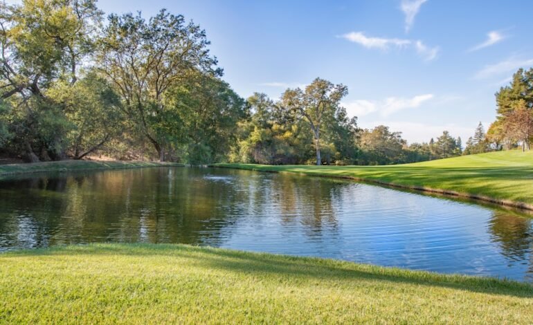 From Lending to Litigation: How Valuation Services Support Every Stage